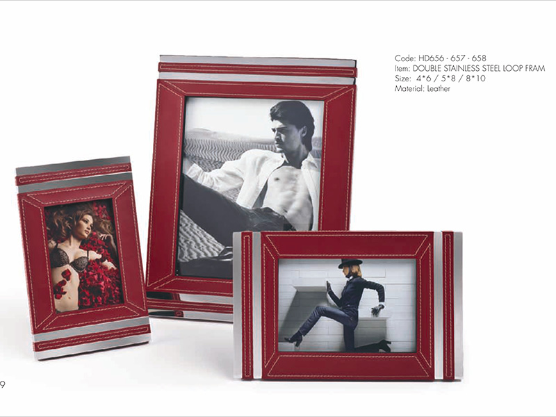 DOUBLE STAINLESS STEEL LOOP FRAME