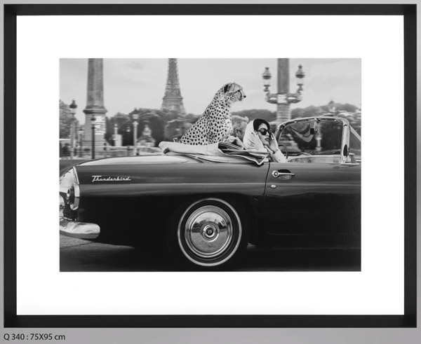 Photo d'Art : In Paris